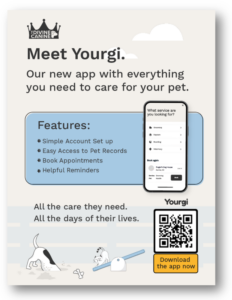 yourgi