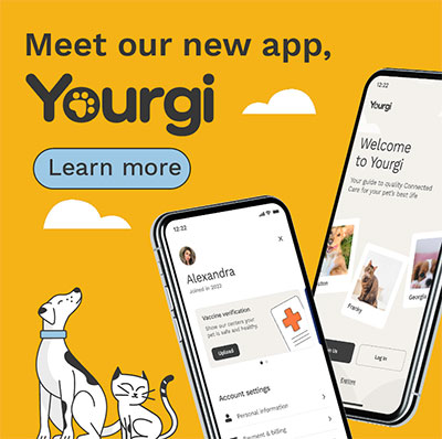 Download the Yourgi App!