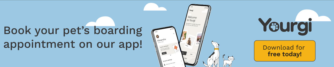 Download the Yourgi App