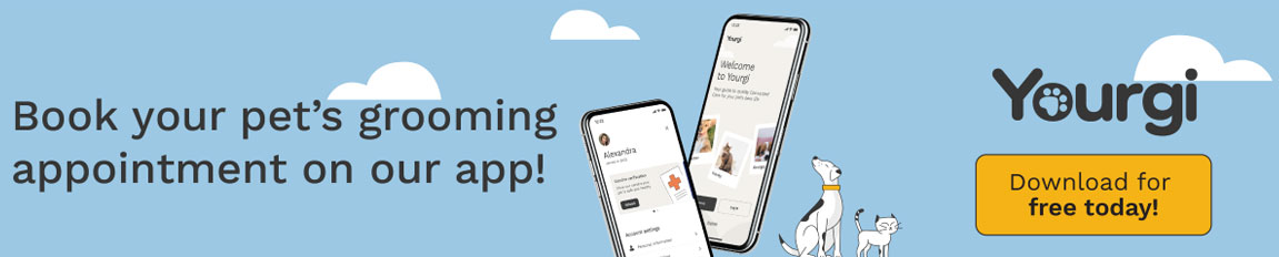 Download the Yourgi App