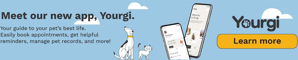 Download the Yourgi App