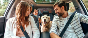 dog in car with family